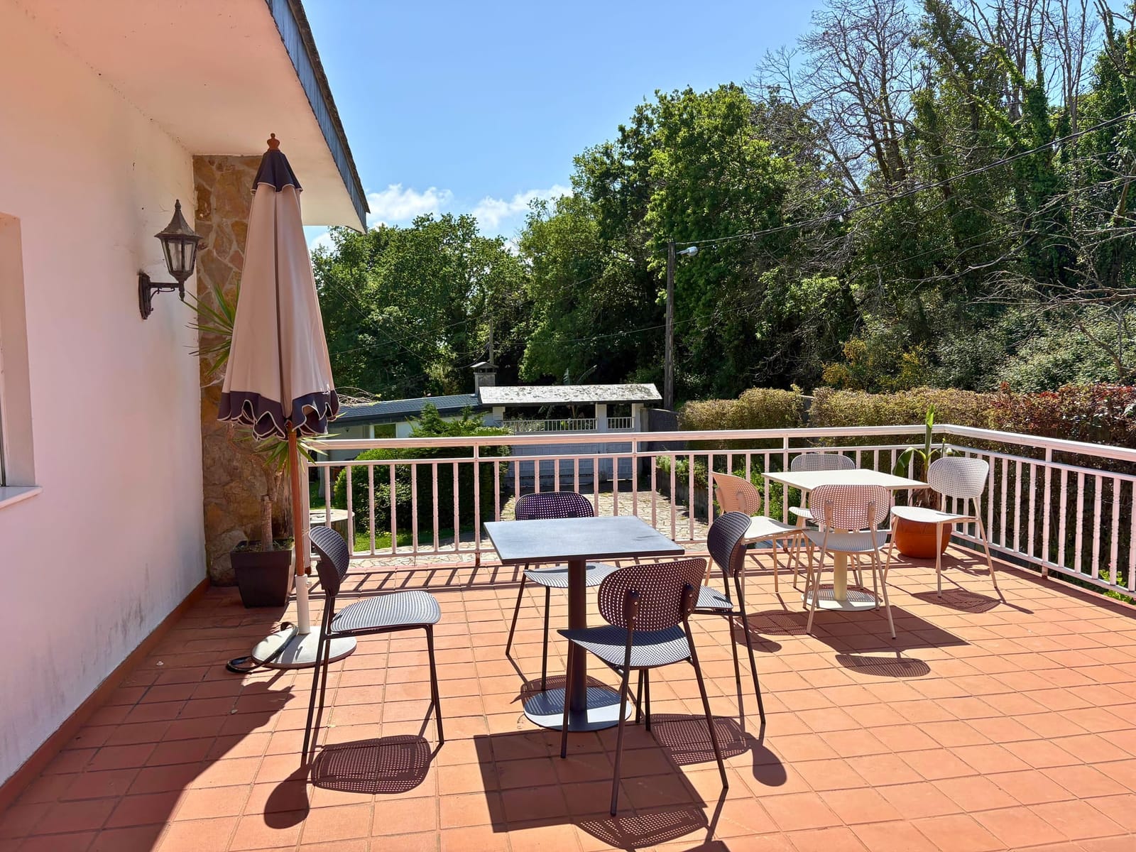 Wooden deck overlooking the garden and pines