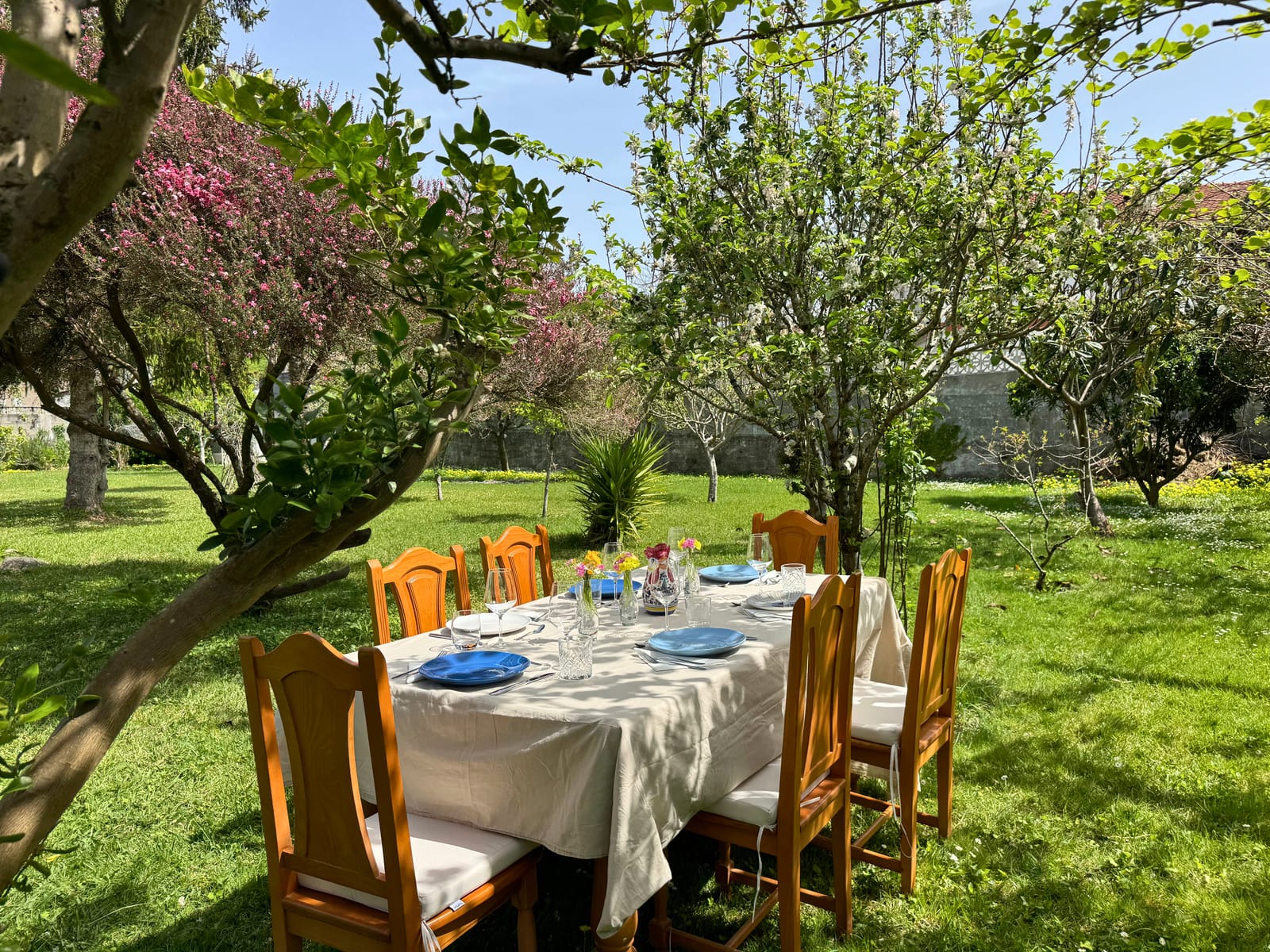 Outdoor table set under fruit trees in spring blossom