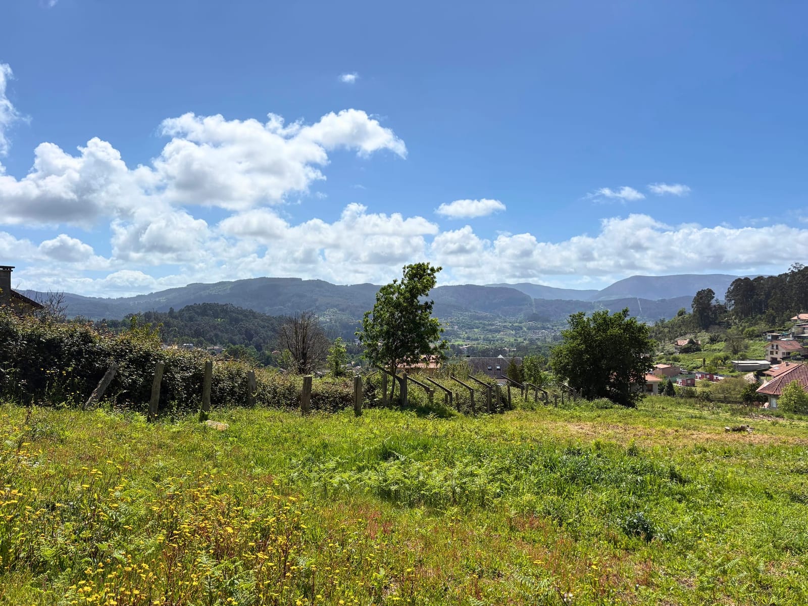 View across the Val Miñor valley toward the Atlantic coast